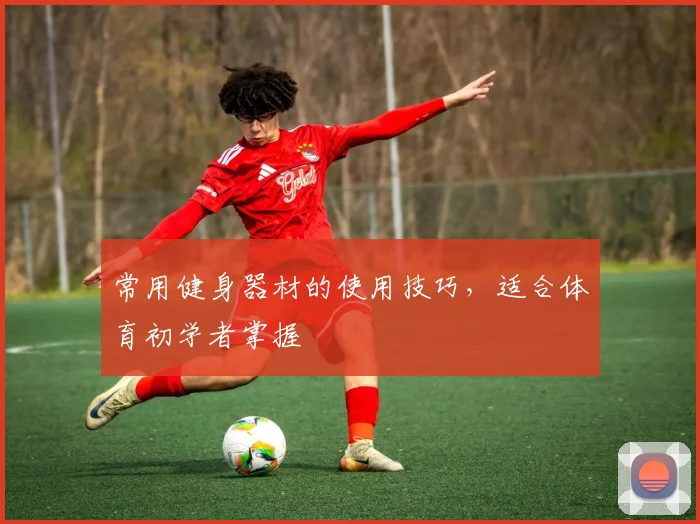 常用健身器材的使用技巧，适合体育初学者掌握