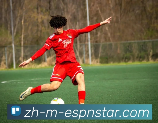 五大联赛直播服务体系